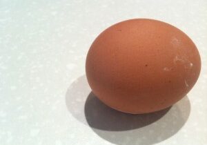 The First Egg