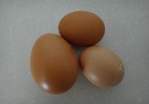 three-eggs